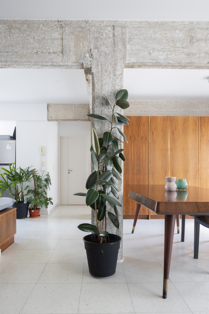 Căn hộ Carolina Recondo